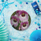 紙皿-パンジー蘭 ペーパープレート (パーティー)