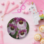 紙皿-パンジー蘭 ペーパープレート (パーティー)