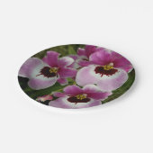紙皿-パンジー蘭 ペーパープレート (アングル)