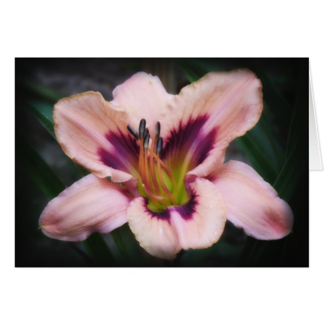 紙美しい (正面横)