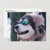 紙葉書 ポストカード (正面/裏面)