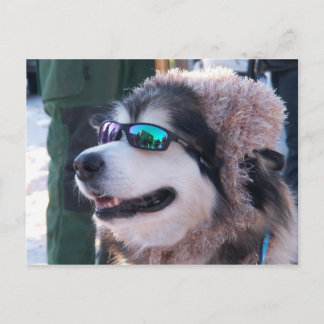 紙葉書 ポストカード