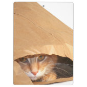 紙袋のオレンジ虎猫猫 クリップボード (裏面)