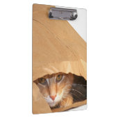 紙袋のオレンジ虎猫猫 クリップボード (右)