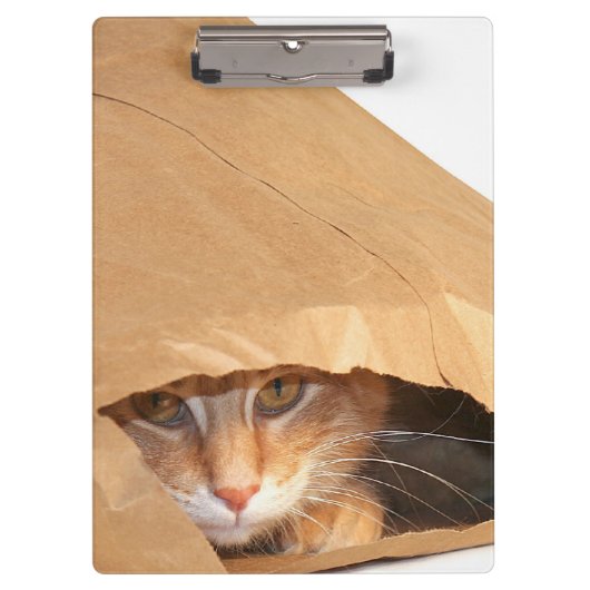 紙袋のオレンジ虎猫猫 クリップボード (正面)