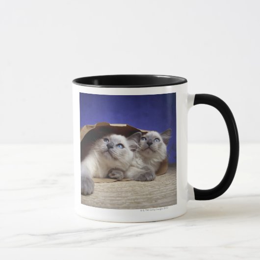 紙袋の猫 マグカップ (右)