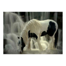 紙製ポスター（マット）