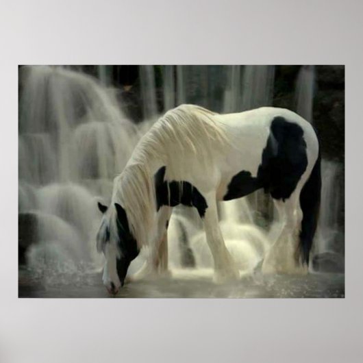 紙製ポスター（マット） ポスター (正面)