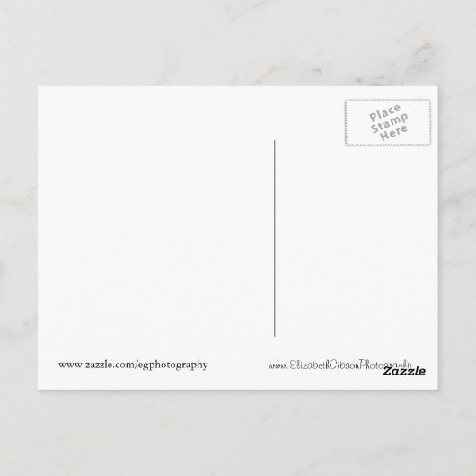 紙雪 ポストカード (裏面)