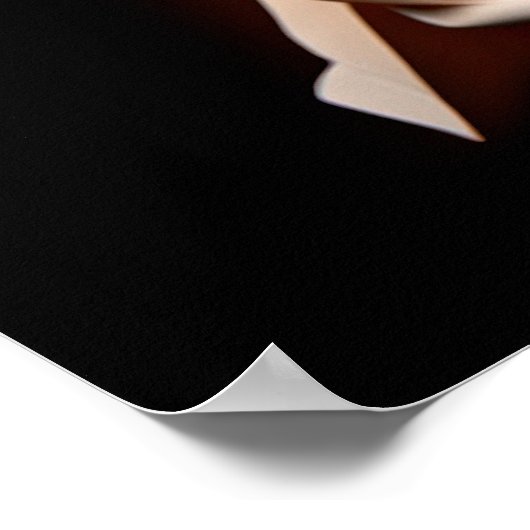 紙顔 ポスター (角)