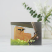 紙飛んでいるワスアンドブラックカーペンターアリ ポストカード (スタンド正面)