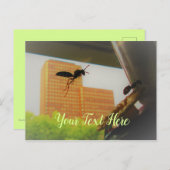 紙飛んでいるワスアンドブラックカーペンターアリ ポストカード (正面/裏面)