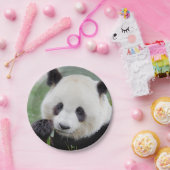 紙飛行機フォトジャイアントパンダ0309. ペーパープレート (パーティー)