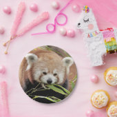 紙飛行機フォトレッドパンダ0469. ペーパープレート (パーティー)