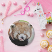 紙飛行機フォトレッドパンダ0471. ペーパープレート (パーティー)