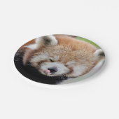 紙飛行機フォトレッドパンダ0471. ペーパープレート (アングル)