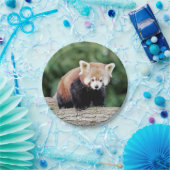 紙飛行機フォトレッドパンダ0473. ペーパープレート (パーティー)