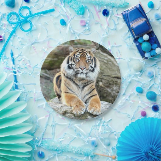 紙飛行機。フォトタイガー04.紙プレート ペーパープレート (パーティー)