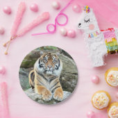 紙飛行機。フォトタイガー04.紙プレート ペーパープレート (パーティー)