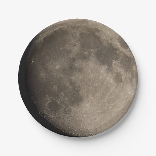 紙飛行機。フォトムーン02.紙プレート ペーパープレート (正面)