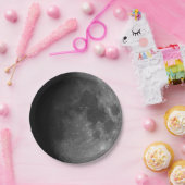 紙飛行機。フォトムーン。紙プレート ペーパープレート (パーティー)