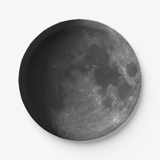 紙飛行機。フォトムーン。紙プレート ペーパープレート (正面)