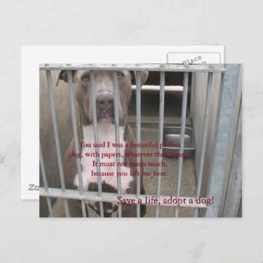 紙 ポストカード (正面/裏面)