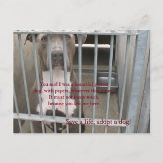 紙 ポストカード