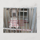 紙 ポストカード (正面)