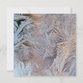 級別曇り日付の保存 セーブザデート (裏面)