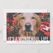 素はっきりした晴らしい人生を台本にする |祝日の写真 シーズンカード (正面)