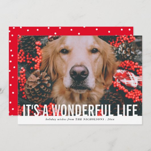 素はっきりした晴らしい人生を台本にする |祝日の写真 シーズンカード (正面/裏面)