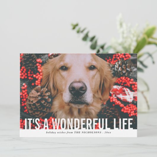 素はっきりした晴らしい人生を台本にする |祝日の写真 シーズンカード (スタンド正面)