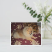 素世 ポストカード (スタンド正面)