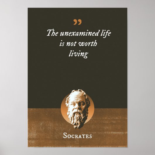 素人の生活は生きる価値が無い ポスター (正面)