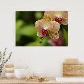 素敵なカップル ポスター (キッチン)