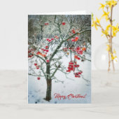 素敵なクリスマスグリーティングカード！ カード (黄色い花)