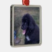 素敵なニューフィーの子犬（ニューファンドランドの犬の品種） メタルオーナメント (右)