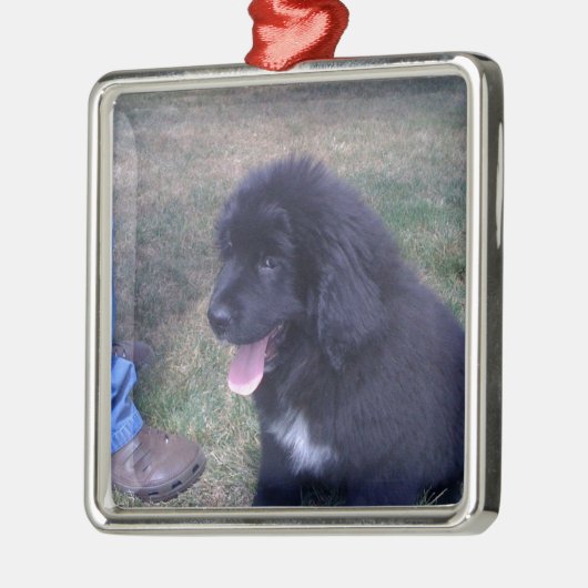 素敵なニューフィーの子犬(ニューファンドランドの犬の品種) メタルオーナメント (左)
