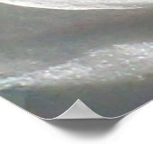 素敵なハニーサックル ポスター (角)