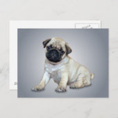 素敵なパグ葉書 ポストカード (正面/裏面)