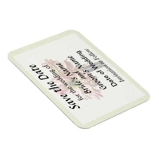 素敵なピンクと白のアマリリスは日付を保存 マグネット (右側)