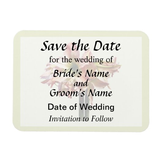 素敵なピンクと白のアマリリスは日付を保存 マグネット (横)