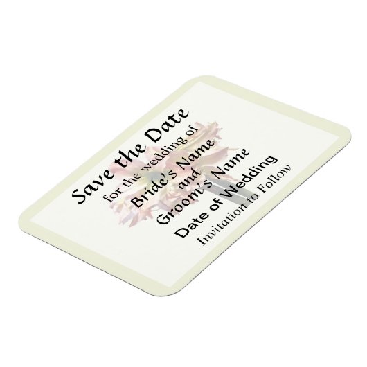 素敵なピンクと白のアマリリスは日付を保存 マグネット (左側)