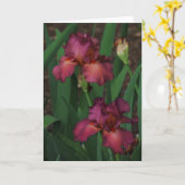 素敵なピンクのアイリスのグリーティングカー空白のド カード (黄色い花)
