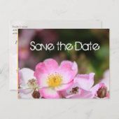 素敵なピンクの野生のバラの花結婚式は日付を保存 案内ポストカード (正面/裏面)