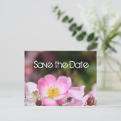 素敵なピンクの野生のバラの花結婚式は日付を保存 案内ポストカード (スタンド正面)