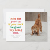 素敵なリストおもしろいかわいいカラフル写真クリスマス シーズンカード (正面)