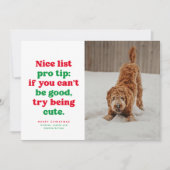 素敵なリストおもしろいかわいい赤い写真クリスマス シーズンカード (正面)