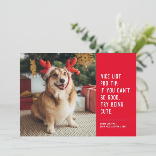 素敵なリストおもしろいペットのクリスマスフォト シーズンカード (スタンド正面)